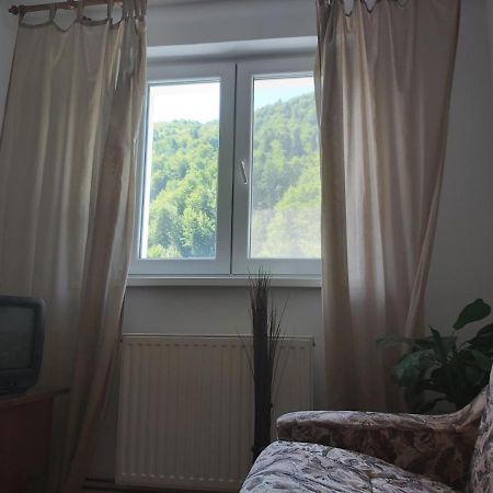 Apartment Valea Azugii Azuga Extérieur photo