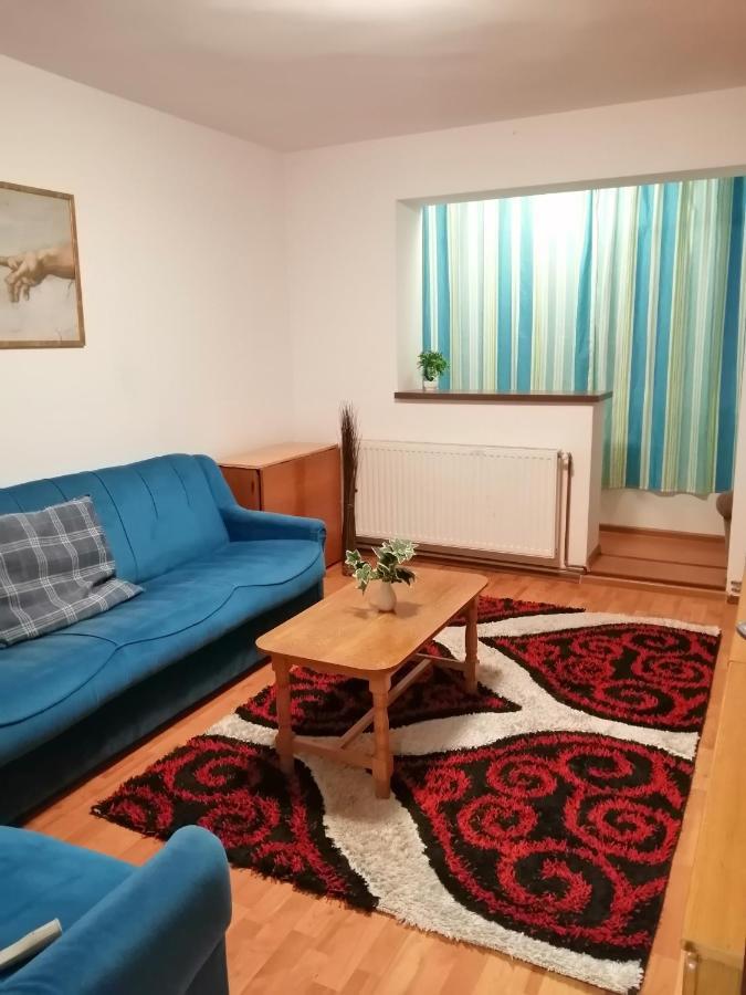 Apartment Valea Azugii Azuga Extérieur photo