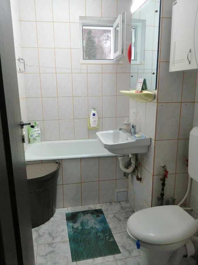 Apartment Valea Azugii Azuga Extérieur photo