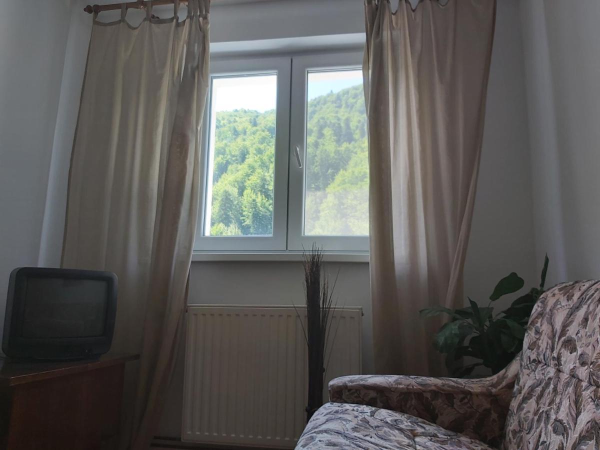 Apartment Valea Azugii Azuga Extérieur photo