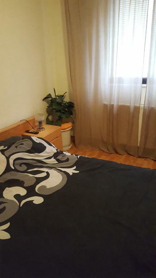 Apartment Valea Azugii Azuga Extérieur photo