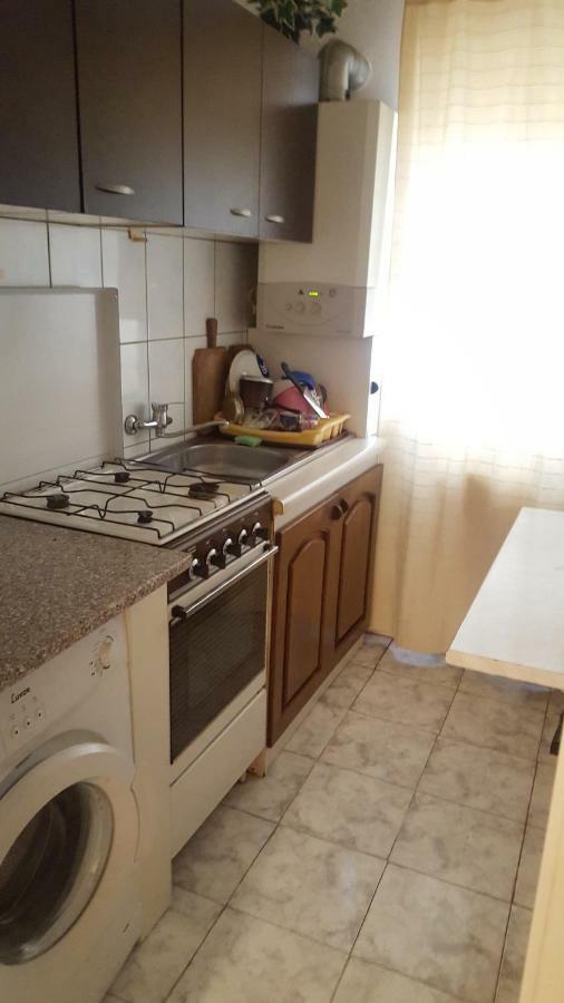 Apartment Valea Azugii Azuga Extérieur photo